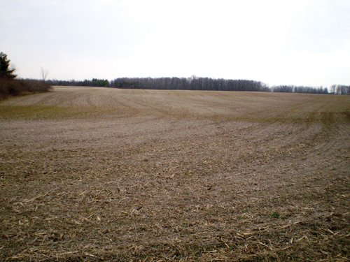 Property photo 9 - 160 Acres in 4 Tracts - Building Potential and Cropland